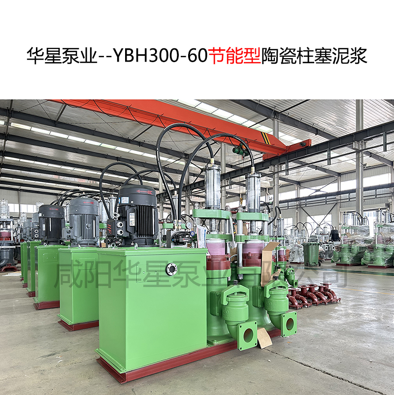 市政污水处理厂使用YBH300-60不锈钢泥浆泵