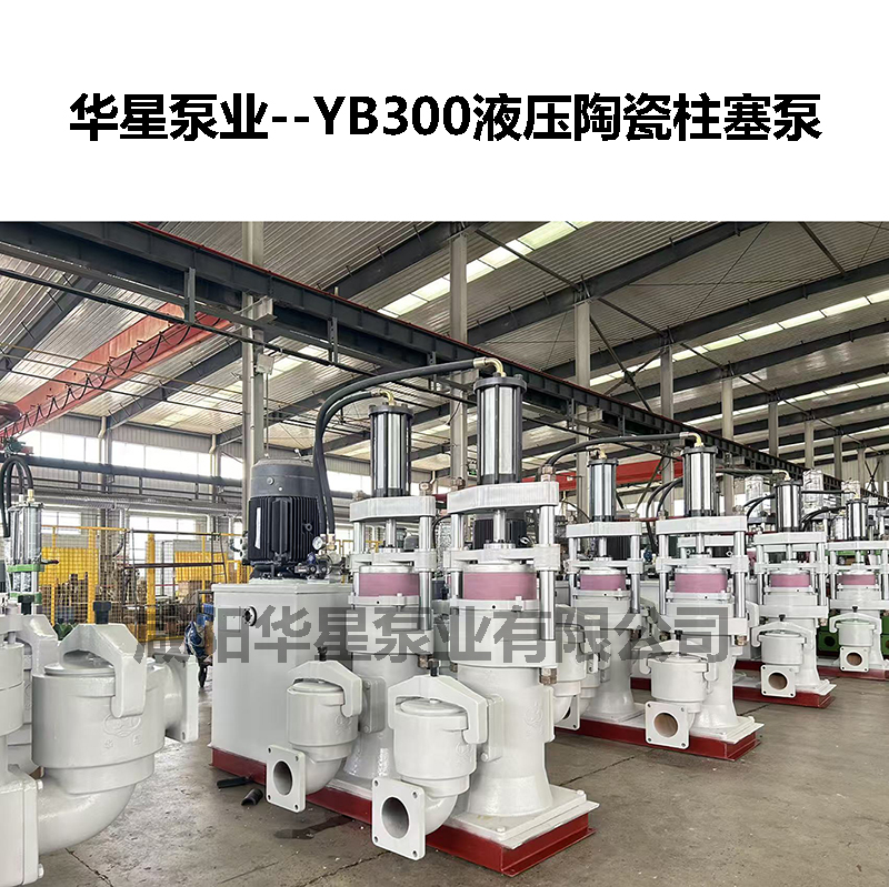YB300液压陶瓷柱塞泵-04