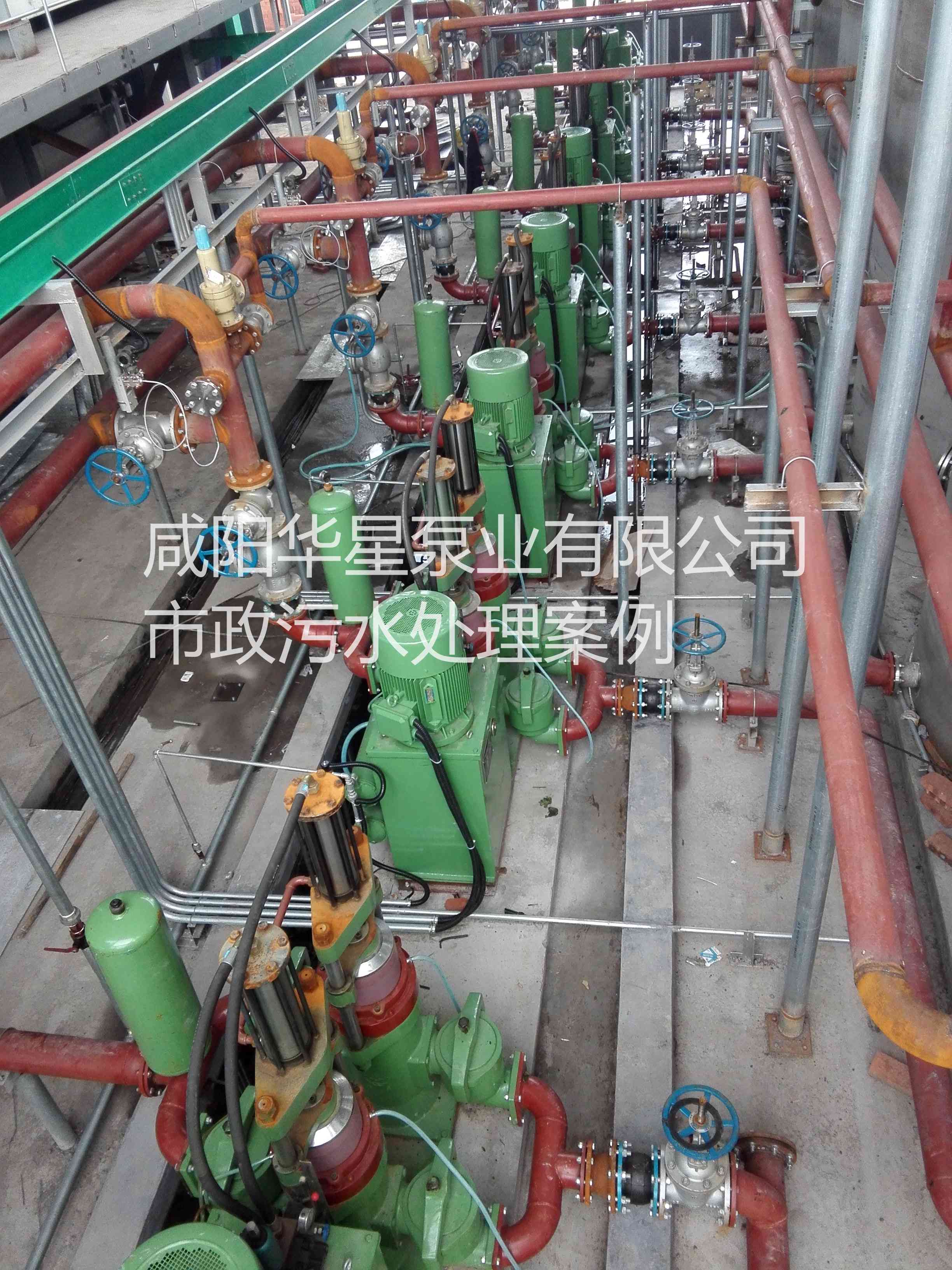 污水处理厂使用YBH250柱塞泥浆泵现场图片