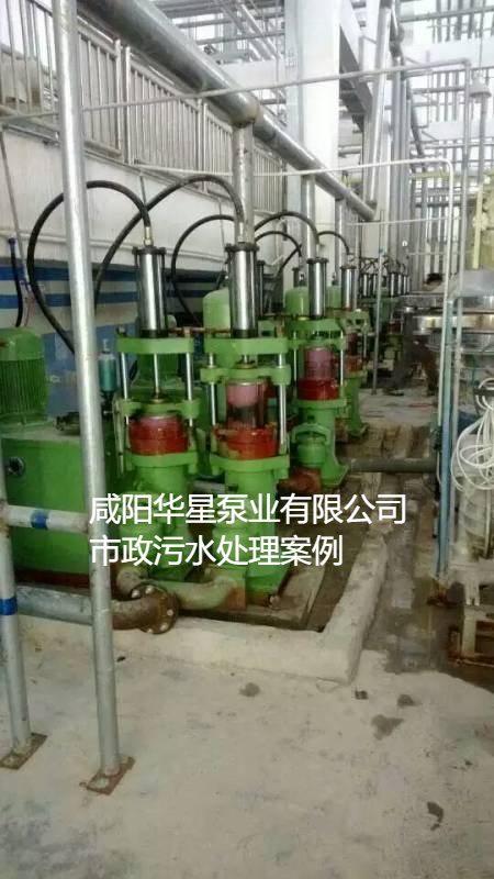 污水处理厂使用YBH200柱塞泥浆泵现场