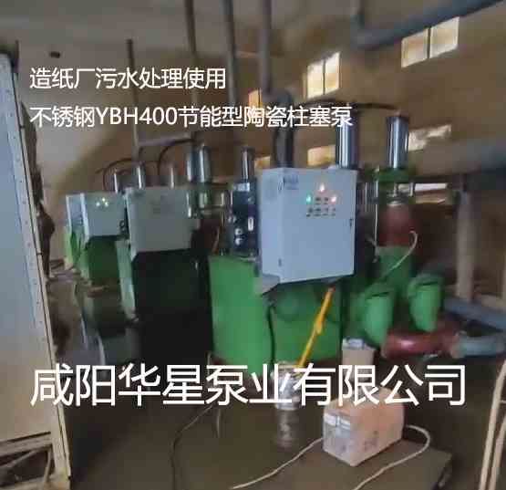 造纸厂使用YBH400不锈钢柱塞泥浆泵案例