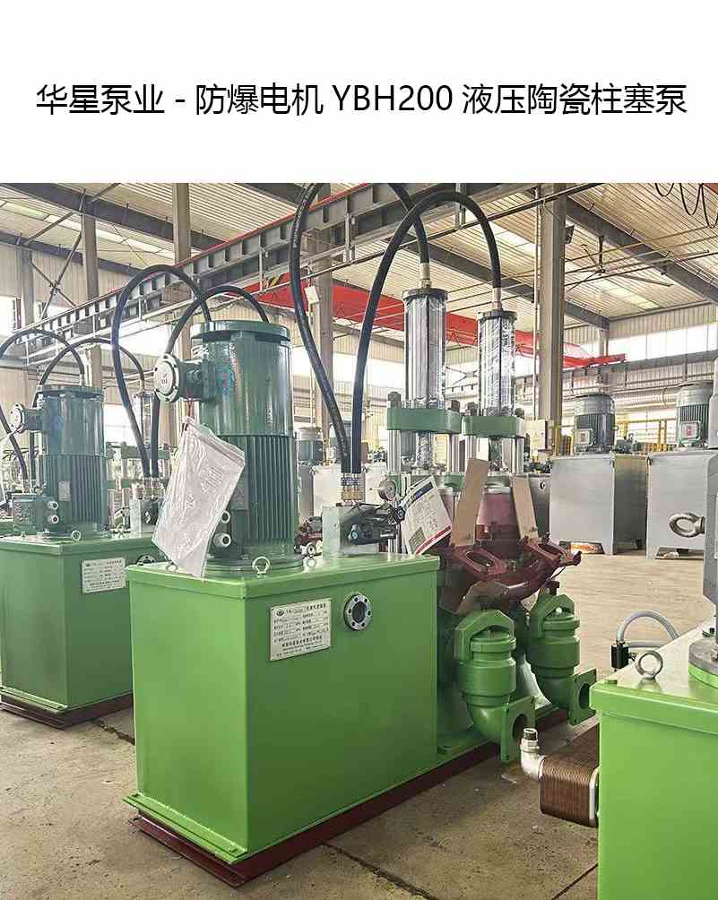 客户订购2台带防爆电机YB200柱塞泥浆泵