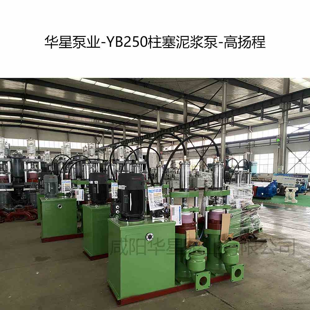 选矿厂购买2台YB250高扬程柱塞泥浆泵
