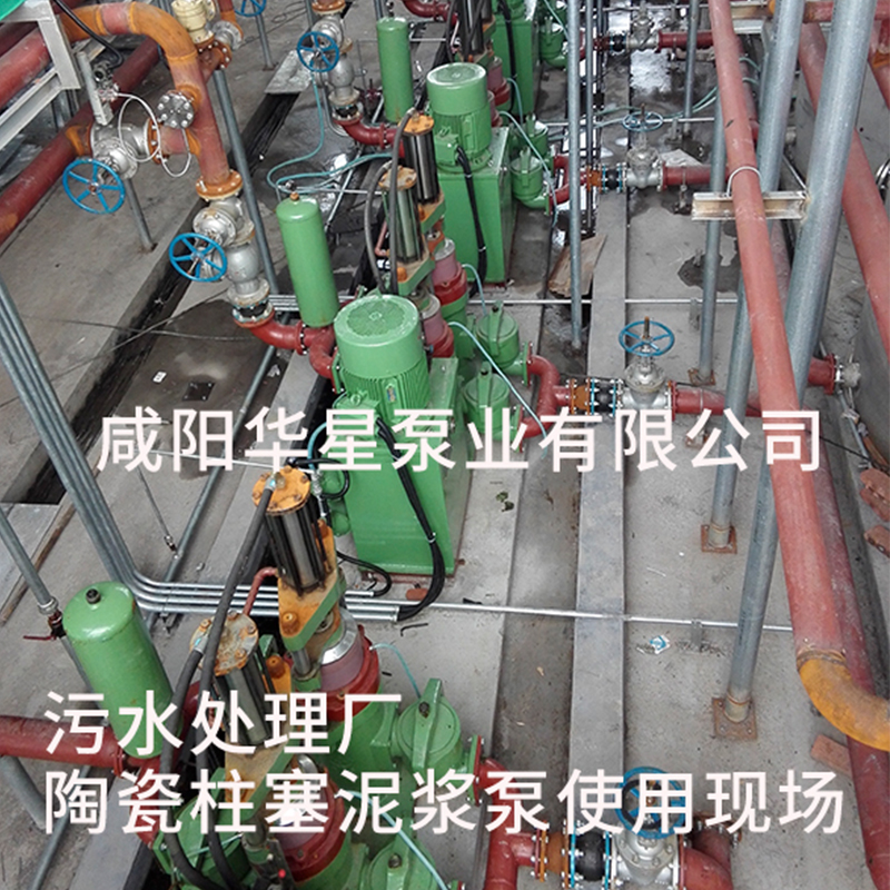 污水处理厂陶瓷柱塞泥浆泵使用现场