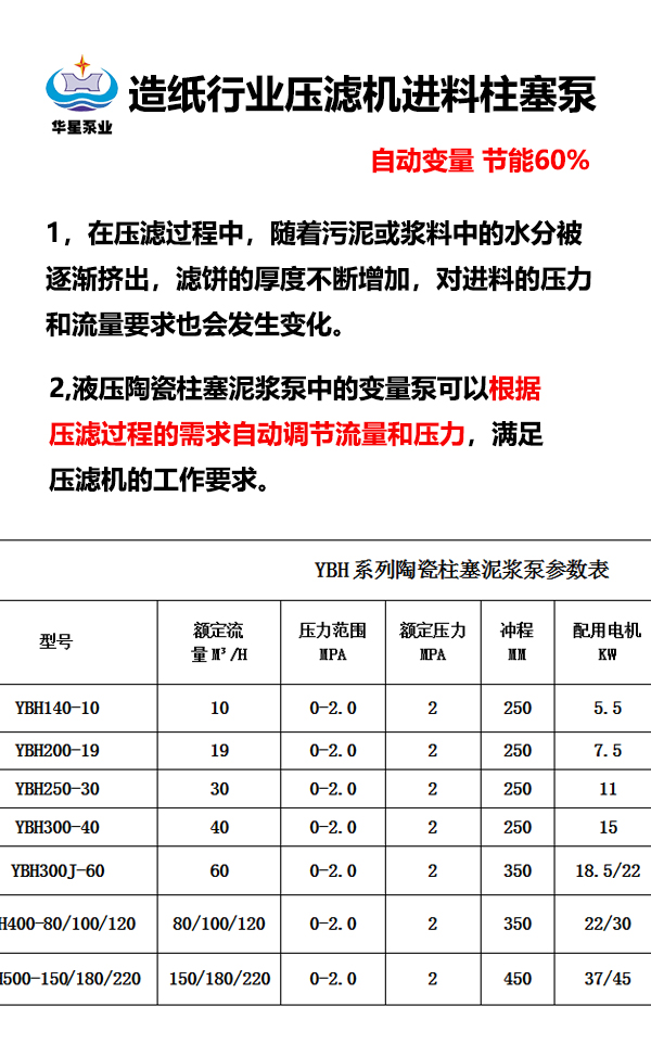 造纸行业压滤机进料柱塞泵