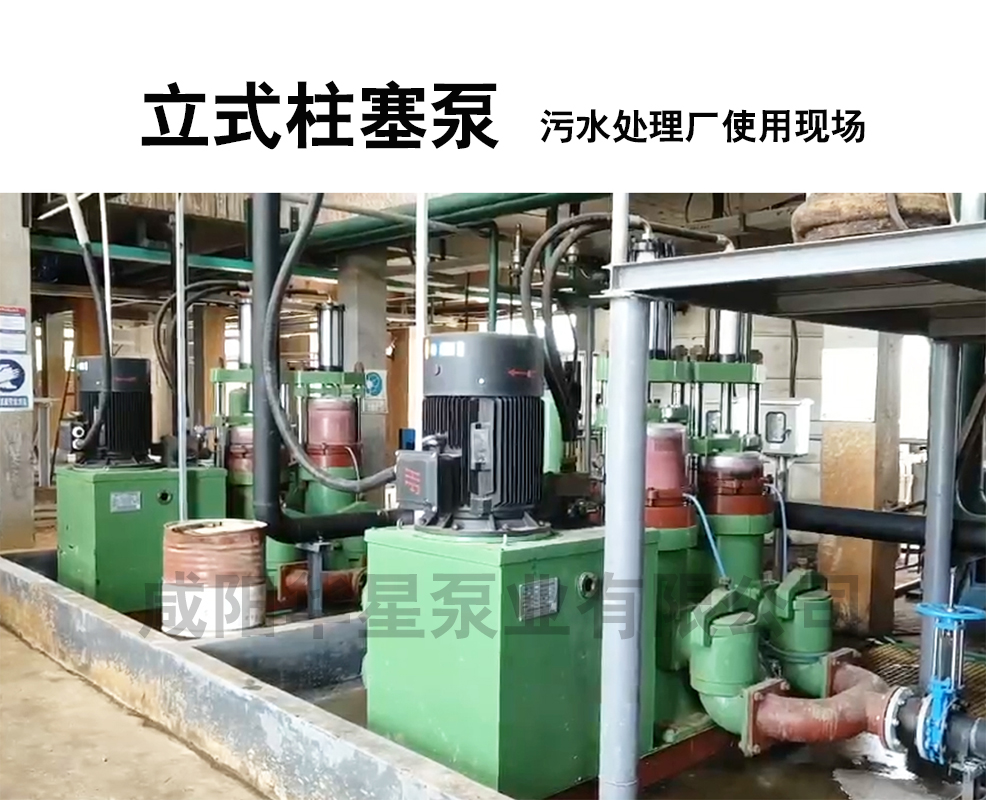 立式柱塞泵污水处理厂使用现场