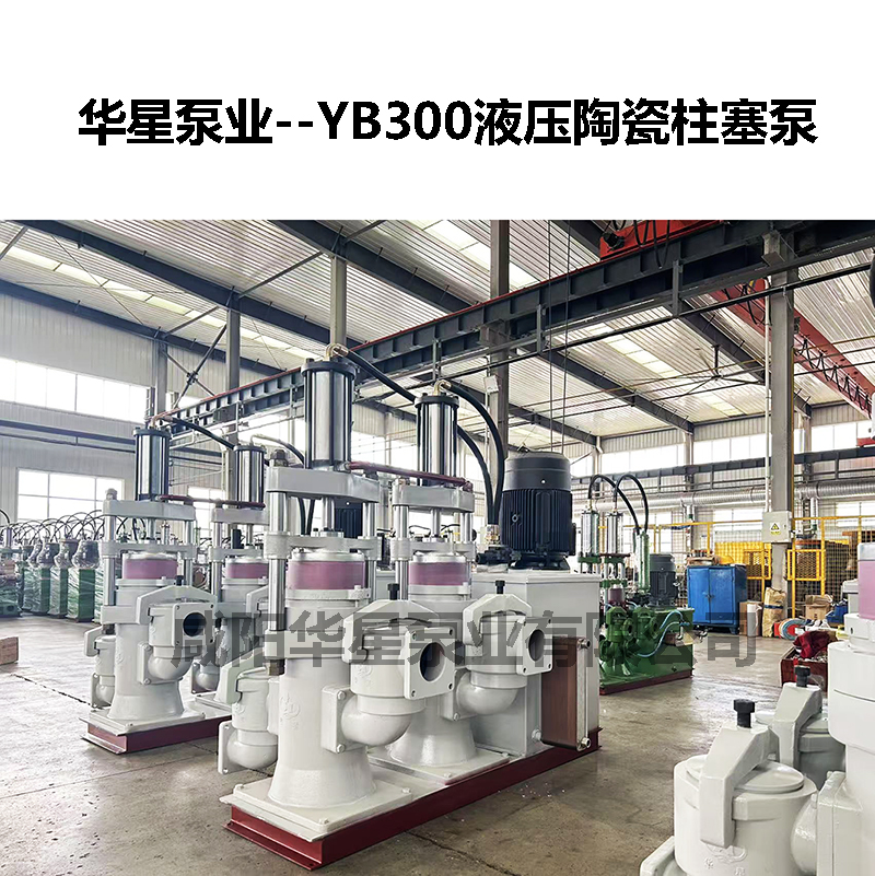 YB300液压陶瓷柱塞泵-02