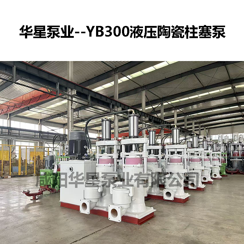 YB300液压陶瓷柱塞泵-06