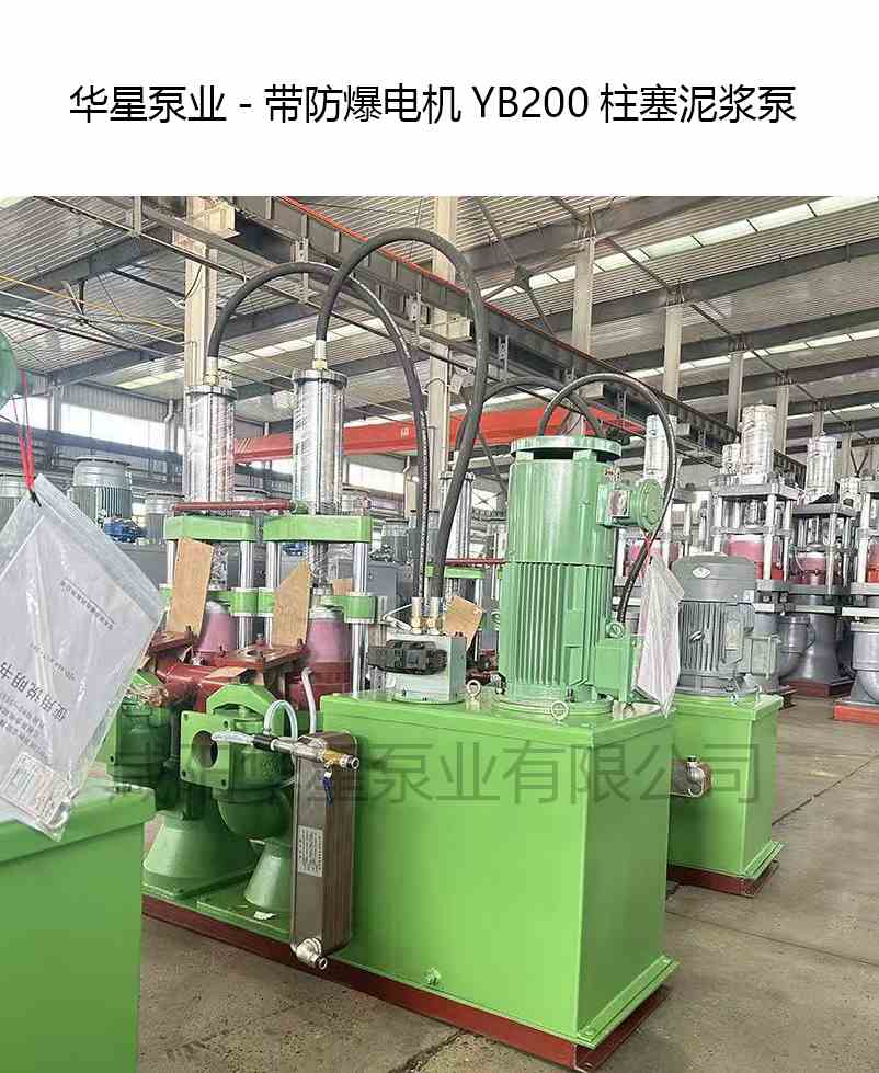 带防爆电机YB200柱塞泥浆泵-华星泵业-产品图片